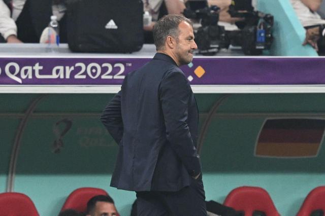 1669943204971012161.jpg 1669943204971012161.jpg