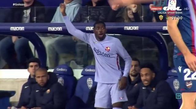 1649772808302069906.jpg 登贝莱.jpg